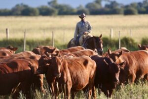 MPCS: Plan de acción para el fortalecimiento de la ganadería sostenible.
